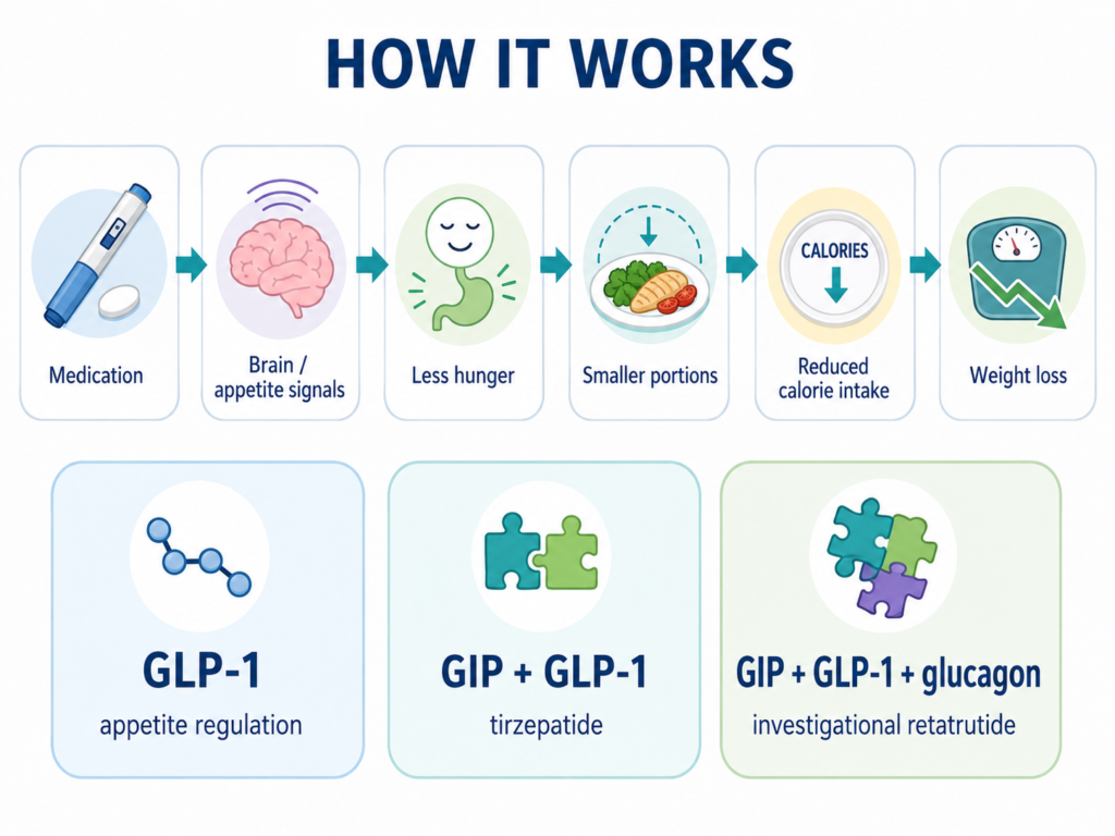 How GLP-1 works